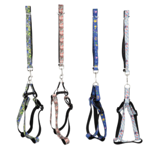 Kit Peitoral E Guia Estampado P/ Pet Ajustável Lovely Vibe [F088]