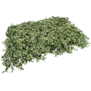 Placa Jardim Vertical Folhagem Luxo 40x60 Cm Proteção Uv | Retardador De Chamas [F088]