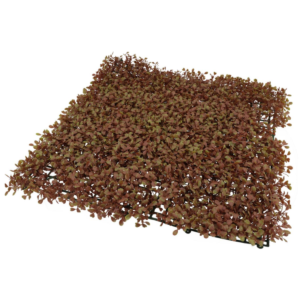 Placa Jardim Vertical Buchinho Luxo 50x50 Cm Proteção Uv | Retardador De Chamas [F088]