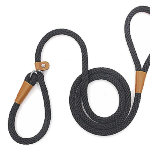 Coleira de Treinamento para Cachorros – Nylon Resistente com Design Casual